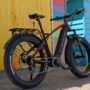 Earth Trex Rino Ebike 1