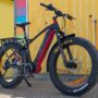 Earth Trex Rino Ebike 2