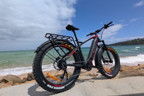 Earth Trex Rino Ebike 4